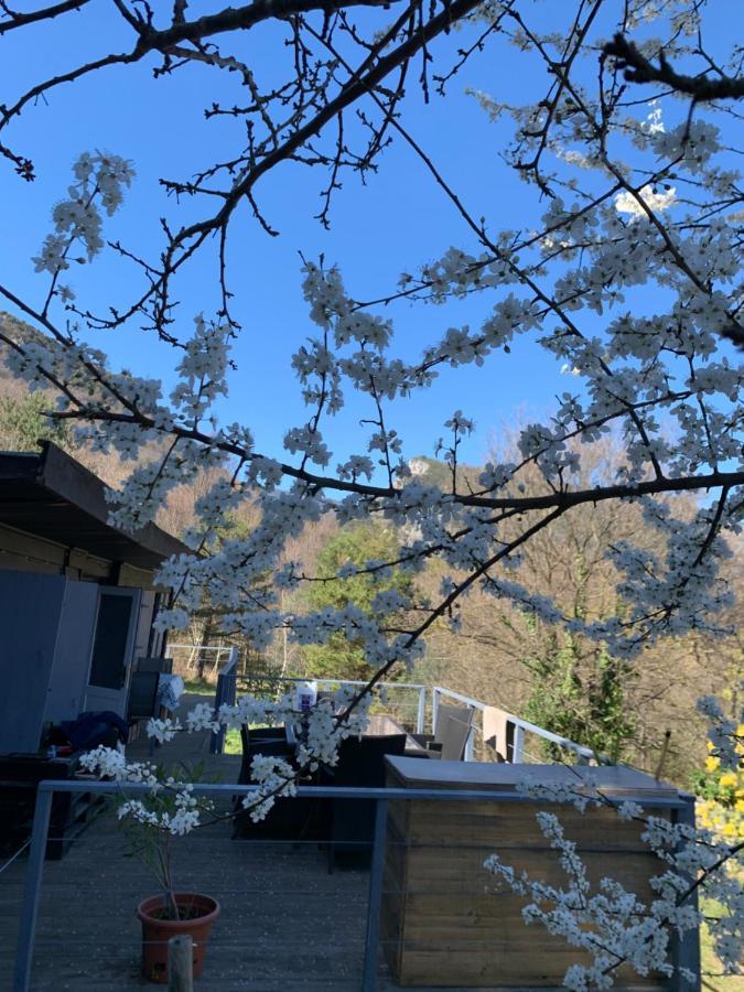 Chalet Le Cabanon